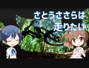 【マウンテンバイク】さとうささらは走りたい　PART11　MTB計測会
