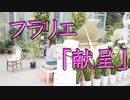 フラリエのストピで「献呈」気持ちよすぎだろ！ シューマン=リスト を弾いてみた【ストリートピアノ】