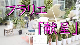 フラリエのストピで「献呈」気持ちよすぎだろ！ シューマン=リスト を弾いてみた【ストリートピアノ】
