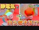これカービィ大丈夫なの!_『星のカービィ64』実況#11【サボテンとハト】