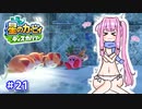 【星のカービィ ディスカバリー】あかあかの荒廃した世界を大冒険！part21【VOICEROID実況】