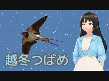 【Feng Yi】越冬つばめ（森昌子）【SynthesizerVカバー】