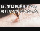 蚊、実は最後まで血を吸わせた方がよかった／今の若者「修学旅行のお土産はAmazonで」理由は帰りの荷物増やしたくないから…／5万円もするこのパフェ