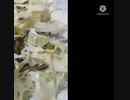 キャベツの千切りにとろける塩昆布ほしい友達見つけた振り返るとキャ(ー)ベツ違ったキヤー別人