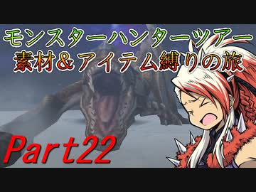 【ゆっくりモンハン】モンスターハンターツアー素材＆アイテム縛りの旅　part22【MHP2G】