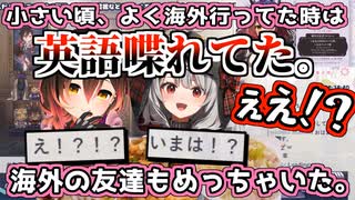 実は昔英語ペラペラだったロボ子さん、いつの間にかアンインストールされていた