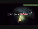 夜の川で魚すくい