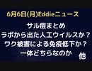 サル痘…ラボリークの人口機能獲得ウイルスの仕業なのか、それともワク被害による後天性免疫症候群が引き起こす水痘や天然痘類、帯状疱疹なのか？この二者択一は必要があるのか考察。