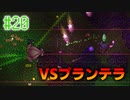 【実況】アクション苦手だけどテラリアやるどー⑳【Terraria】