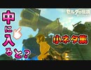 巨大望遠鏡の中に入ると？テバを回したいなど小ネタ集【ブレワイ BotW】裏技 バグ 検証 ゆっくり実況 glitch