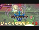 【Souldiers】【ソウルライクなメトロイドヴァニア】【イベントのみ和訳あり】ソルジャーズ じっくり攻略実況 第5回【蜘蛛の巣～テンペス平原】