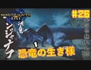 【ゆっくり実況】サンブレイク発売までにストーリー終わらすだけ Part26【MHRise/PC版】