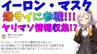 爆サイにイーロン・マスクが頼ってきたというニュース【紲星あかり/ずんだもん】