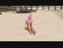 【DoaX3】グラビアパラダイスランダム 060904