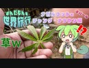 【ずんだもんと世界旅行】ずんだもんと行くてくてくネパールの旅　ナガルコットと最古の寺院チャング・ナラヤン