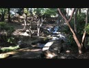 【IA】The Notes Of Nature  / ひゆう