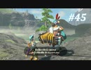 【ゼルダの伝説BotW】実況プレイ-part45-