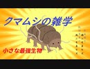 クマムシの雑学
