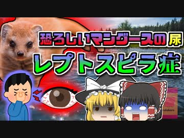 【2007年沖縄】川に潜む危険な細菌 きっかけは『小さな傷』 「レプトスピラ感染症」【ゆっくり解説】