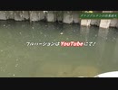 嫁、初めての釣り②