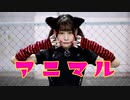 【チャイナ】アニマル　踊ってみた【ｽﾞｯｷｭﾝ】