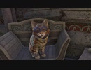 Elder Scrolls Online＃5