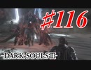 【初見実況】ゲーム下手がダークソウルⅢもクリアするまで その１１６【DARK SOULSⅢ 】