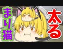 【ゆっくり茶番】まり猫、太る。