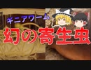 「ゆっくり解説」幻の寄生虫ギニアワームの恐怖