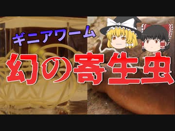 「ゆっくり解説」幻の寄生虫ギニアワームの恐怖