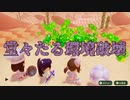 【Miitopia】3DSの設定そのままにSwitch版を実況プレイPart25【非常にぐだぐだ】