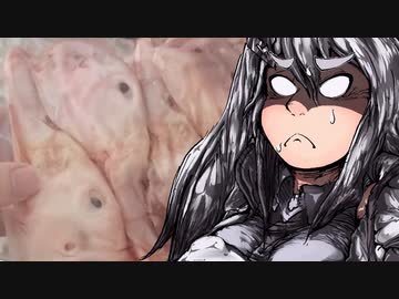 鴨の脳みそ食べるよー【VOICEROIDキッチン】