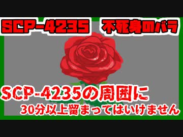 【ゆっくりSCP解説】綺麗なバラには棘がある。なら不死身のバラには何がある？【SCP-4325 不死身のバラ】