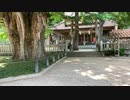 【広島県の神社巡り】 筒賀（筒賀）大歳神社の大銀杏と大瀛（だいえい）和上生誕地　安芸太田町筒賀