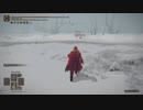チキン野郎のゲーム日記 エルデンリング編 その23