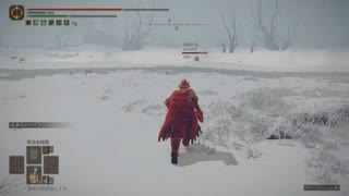 チキン野郎のゲーム日記 エルデンリング編 その23