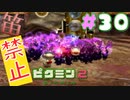 【笛禁止！】笛を吹くことができない主人公の冒険【ピクミン2実況】#30