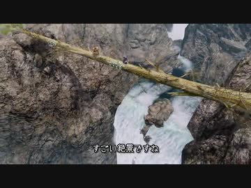 ファレンガーが行くSKYRIM竜の墓巡り 第十二夜（再）