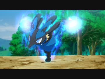 ポケットモンスター　第101話～第147話　第114話　炎の特訓バトル！サトシ対シンジ！！