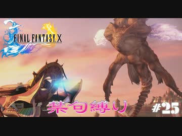 FF10　禁句縛り　その２５　ゆっくり実況（再走）