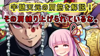 【鬼滅の刃】宇髄天元さんを筋肉サイドで見ていく！～肩の呼吸編～【VOICEROID】