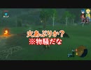 【ゼル伝】何も知らないメンバーの指示でゼルダを救いに行く【BOTW】まとめpart2