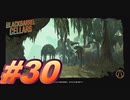 【ボーダーランズ3】バットアスな三人のボーダーランズ３#30【実況プレイ】