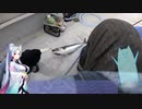 VOICEROIDフィッシング　東北イタコさんと行くスロージギングpart2　金洲春のサバ祭り編