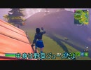 【フォートナイト】カット遊びしたよ