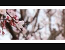 花曇り / 可不