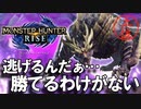 【実況】逃げるんだぁ勝てるわけがない#防具なし縛りのモンハンライズSTEAM版実況プレイ【MHRISE】part26