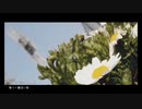 【鹿汰】春に一番近い街【歌ってみた】