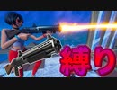 ツーショット ショットガンだけでプレイしてもビクロイ取れる説ｗ「縛りプレイ」「#shorts 」 「 Fortnite 」「 フォートナイト 」