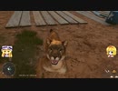 【ゆっくり実況】マリアリのヤーラでヤラかしました part41【FARCRY6】